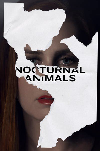 nocturnal animals synopsis.